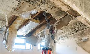 Mold Remediation for Rental Properties in Bethany, IL